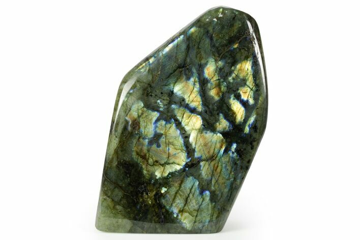 Flashy Free-Standing Polished Labradorite - Madagascar #364188